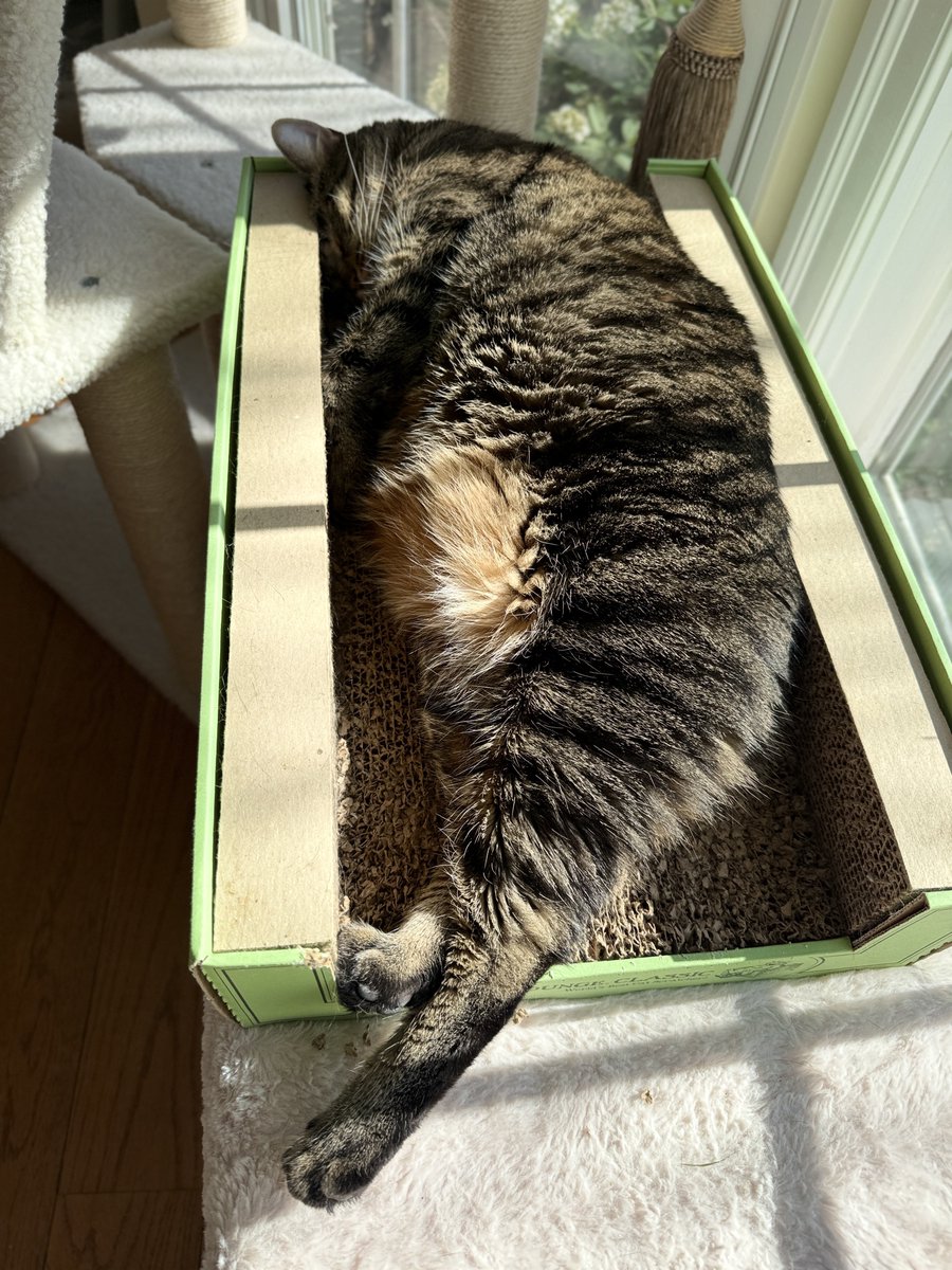 For the love of Missy. tweet media