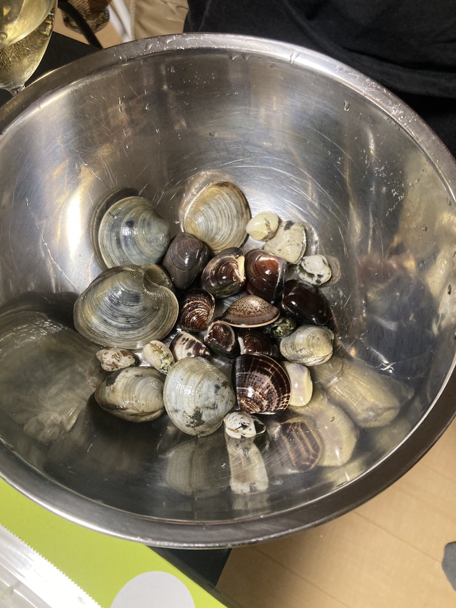 ぼるちも屋 tweet media