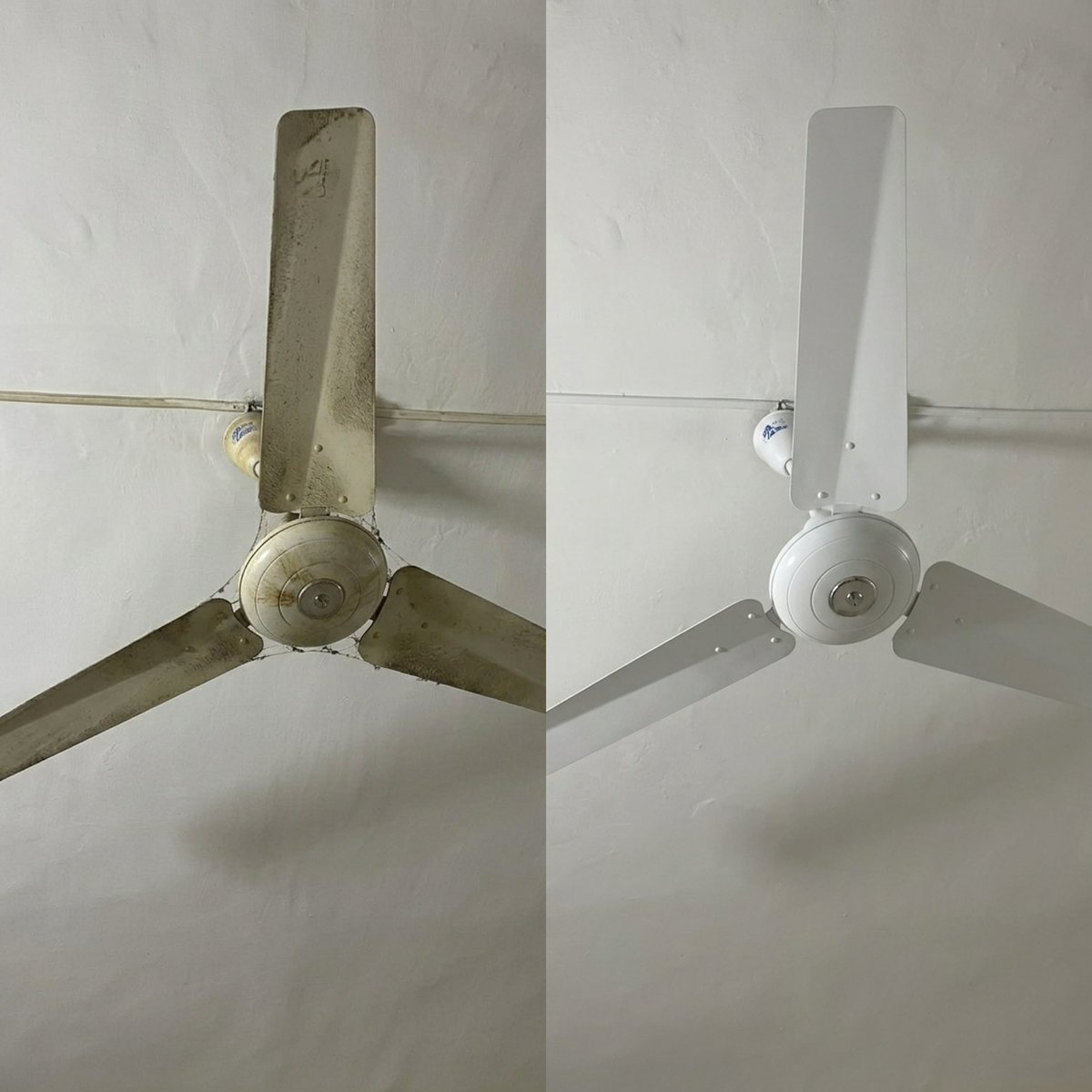 khattak_Zalanda's tweet image. God gave me height for modelling &amp;amp; wearing a saree…
but here I am, cleaning ceiling fans like a professional 😭  #Weekendvibes