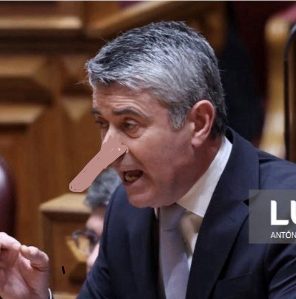 mafalda pinto tweet media