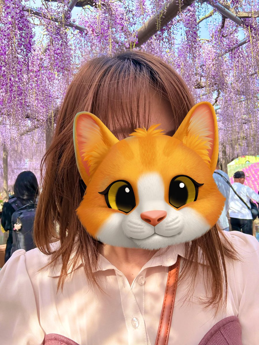 チョロねこ tweet media