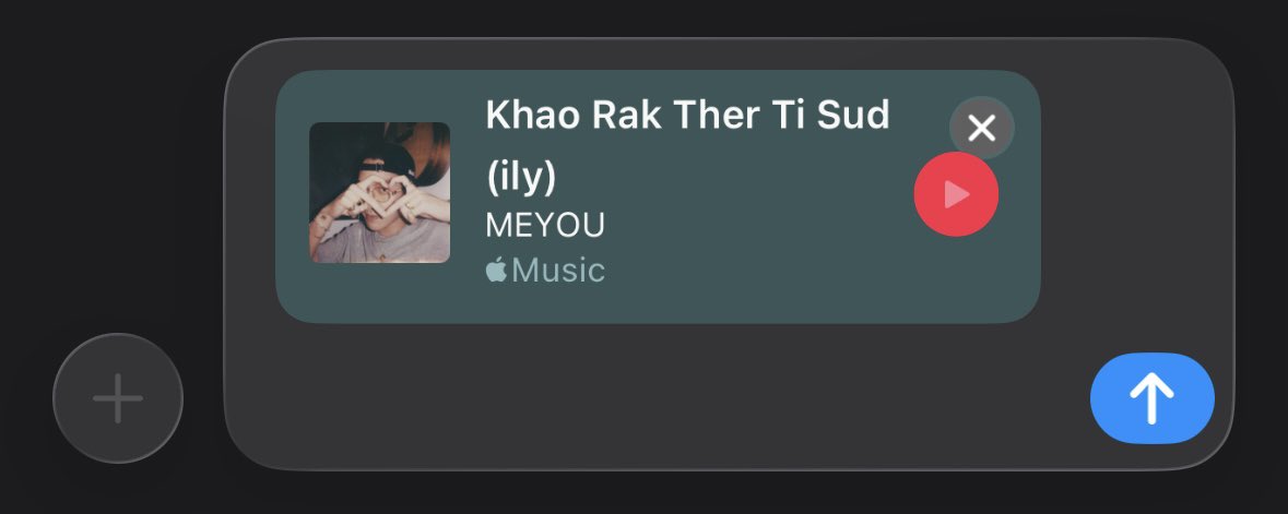 บอใบไม้ตากลม tweet media