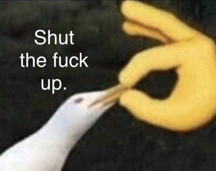 Lisha🔥リシャ tweet media