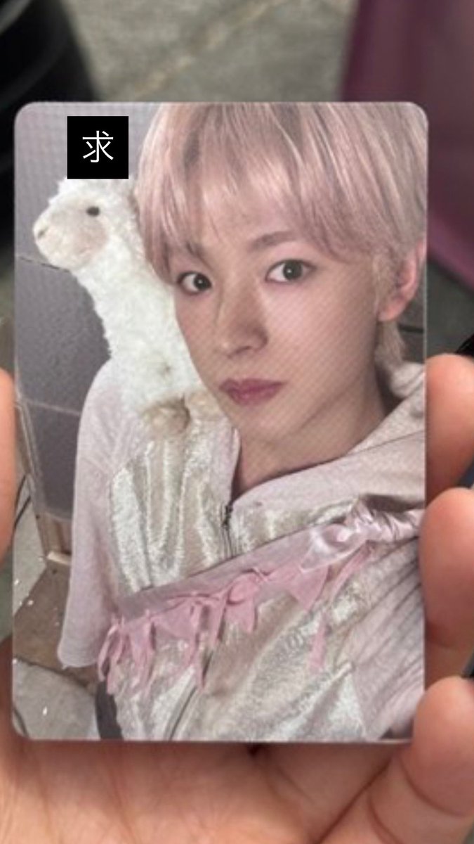 54_ushi's tweet image. ode to love nctwish 交換　S mini ver.
封入

譲　リク
求　ユウシ
#nctwish  #wish  #odetolove #リク
#ユウシ　#유우사 #라쿠