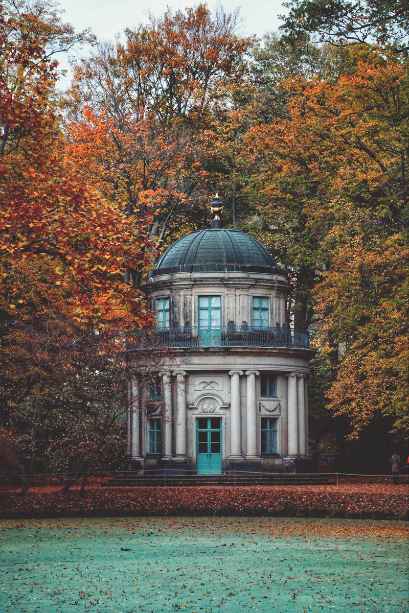 زوربای آلمانی tweet media