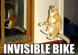 HootyHaHa's tweet image. #Myspace years #InvisibleBike #Cats #Invisible #Early2000s