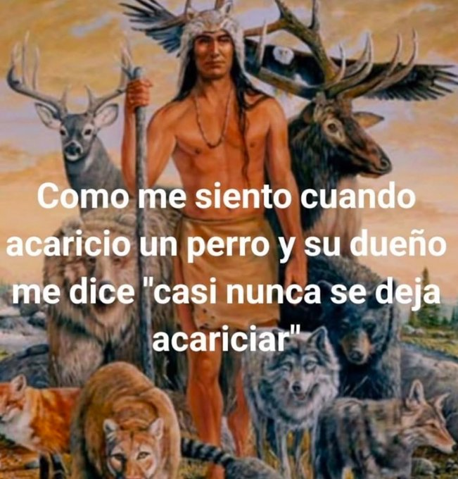 Microondas39 tweet media