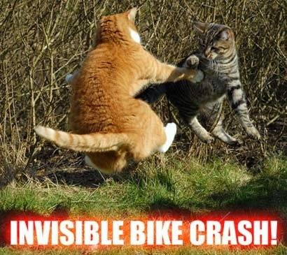 HootyHaHa's tweet image. #Myspace years #InvisibleBike #Cats #Invisible