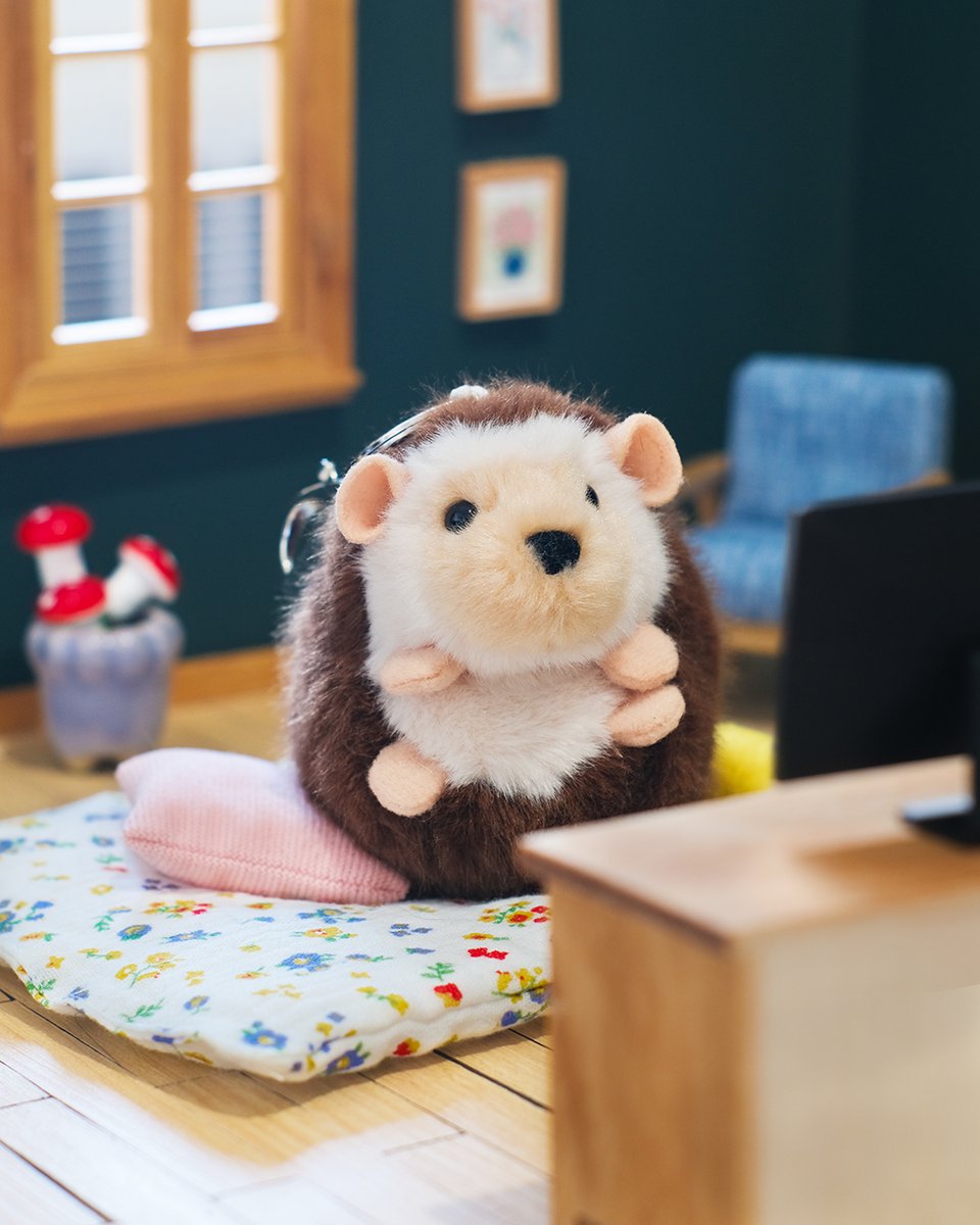douglastoys's tweet image. This little hedgehog 🦔 is spending her Saturday morning the coziest way possible—curled up and watching her favorite show! 📺✨

What about you? What have you been watching lately? 👀🍿 

#cute #hedgehog #plushies #stuffedanimals #douglas #bagcharms #plush #toys #charms #gifts
