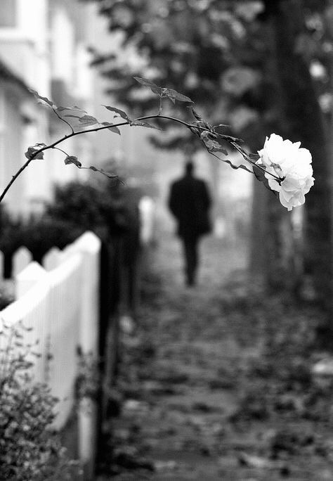 مروان يوسف البلوشي-Marwan AL Balushi tweet media