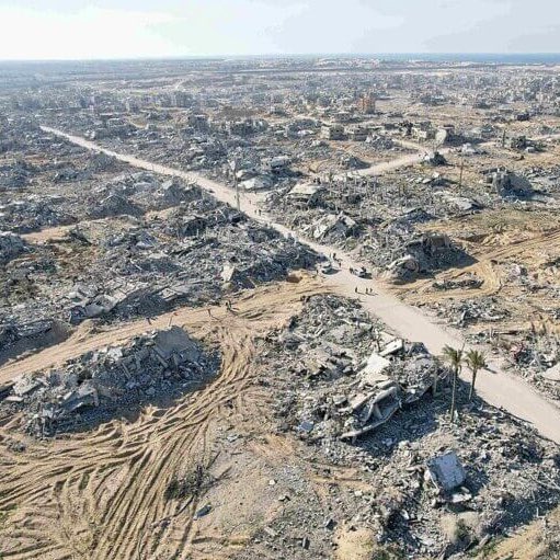 Konrad Berkowicz tweet media