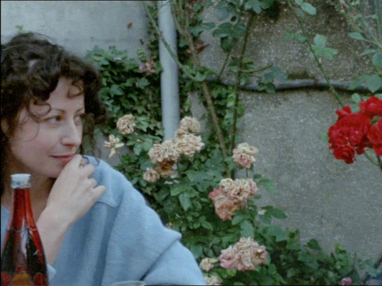 lunarscp's tweet photo. Éric Rohmer's flowers... https://t.co/NUb5QUCkNH