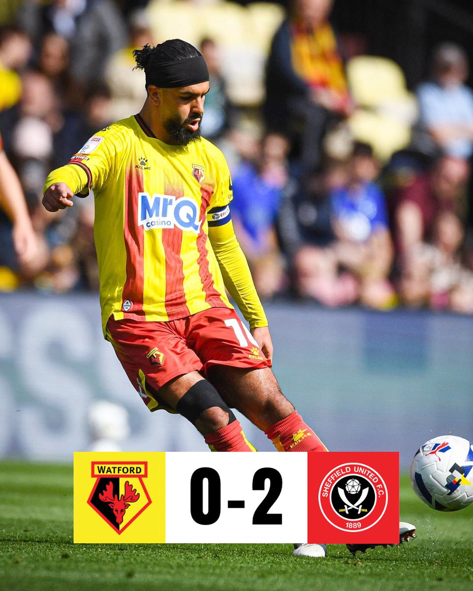 TheWatfordWay tweet media