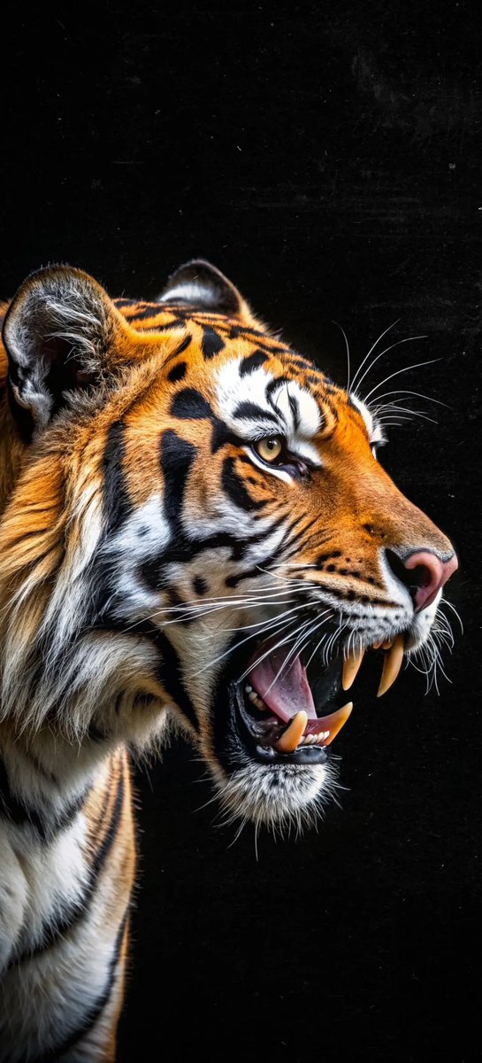 itischalz's tweet image. Tap, hold, &amp;amp; load wallpapers in 8K! #wallpaper4k (4578 × 8290)

#iOS #android #Wallpapers