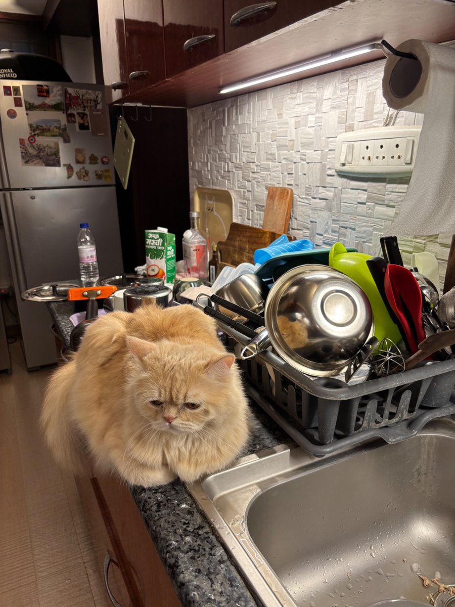 akash 🥢 tweet media