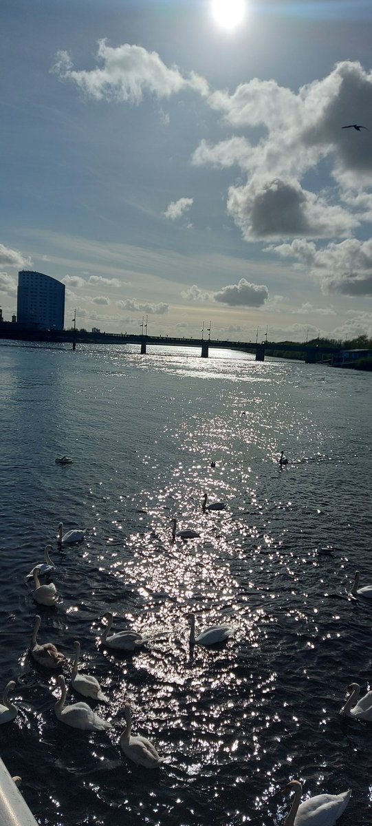 David0Connor's tweet image. #Limerick