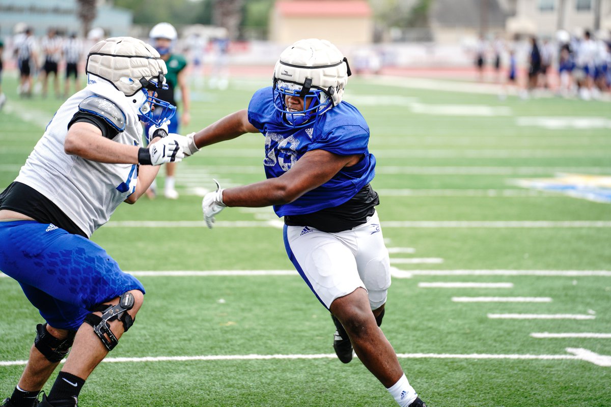 TAMUK Javelina Football tweet media