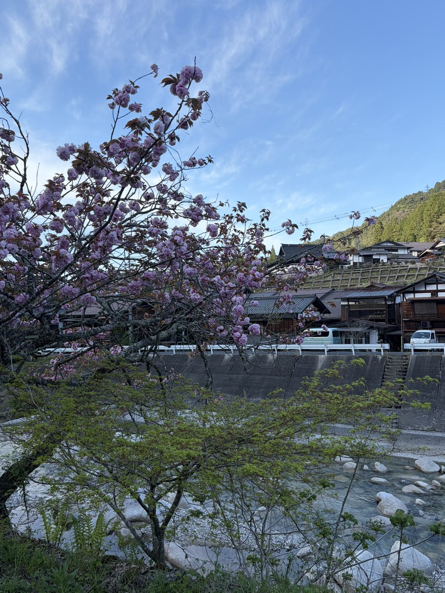 いんぺりあるチョン tweet media