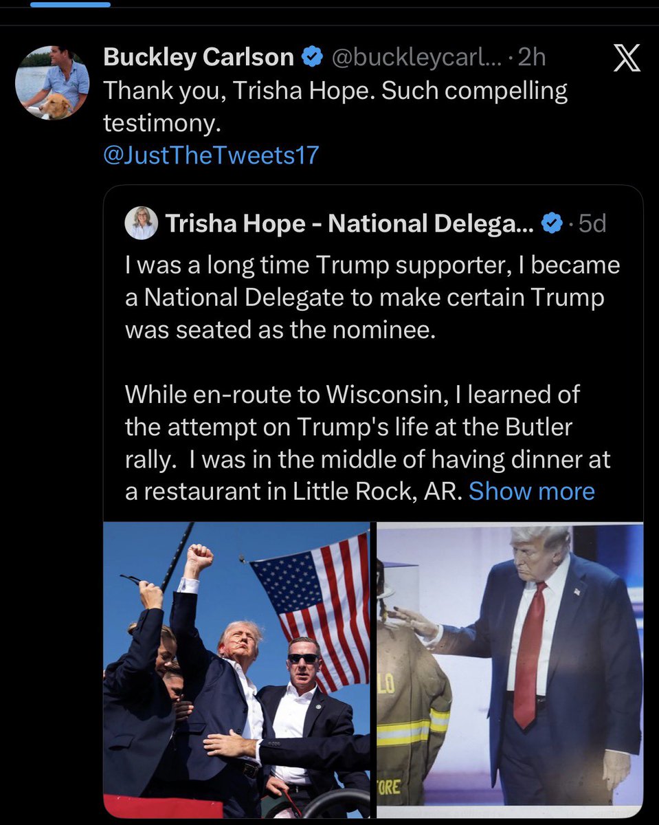 Loomer Unleashed tweet media