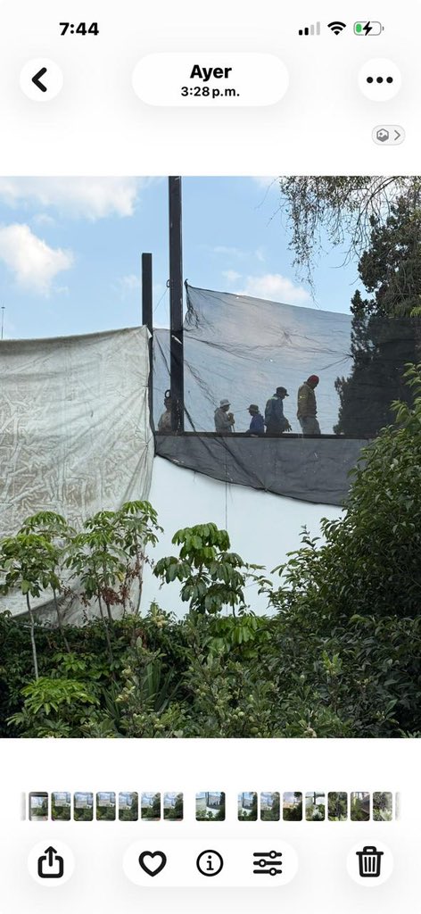 Gustavo García Arias tweet media