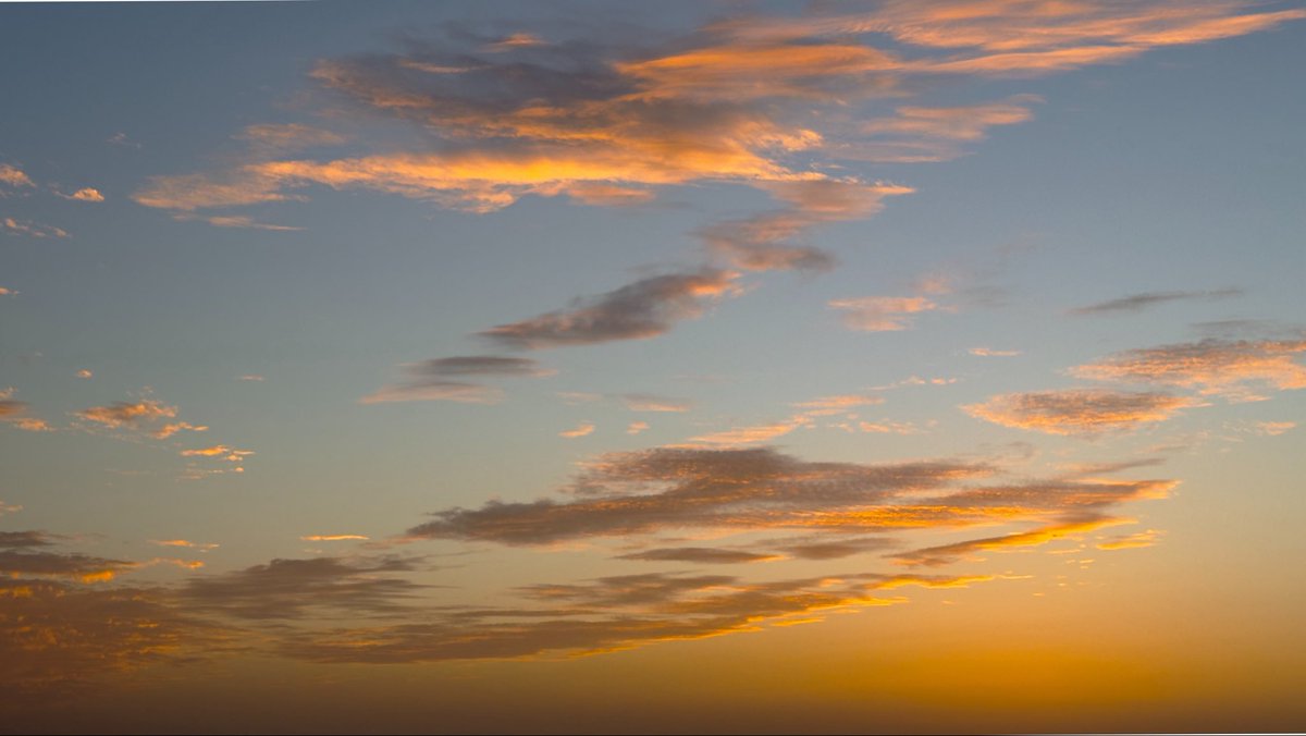 𝐑𝐢𝐲𝐚𝐝𝐡 | 🎞️ tweet media