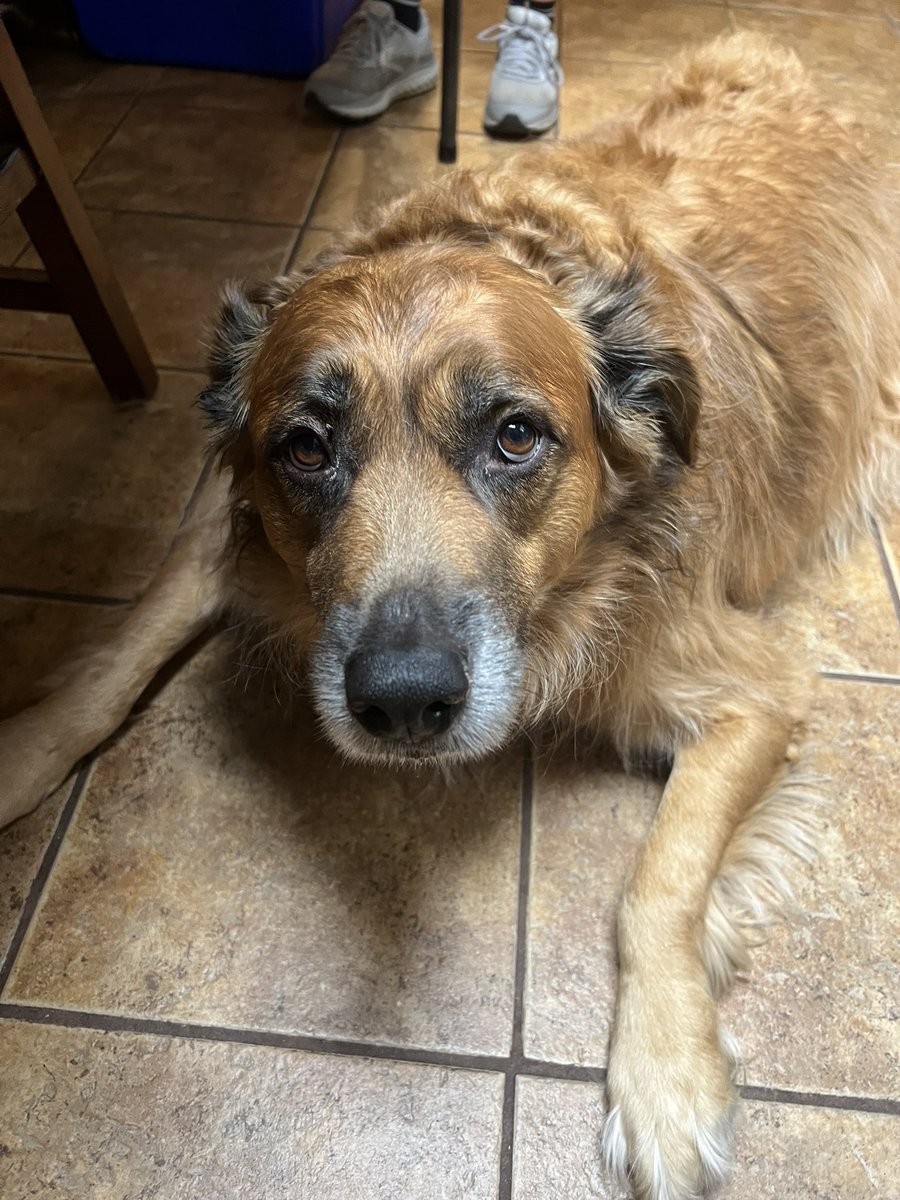 Kate Norum tweet media