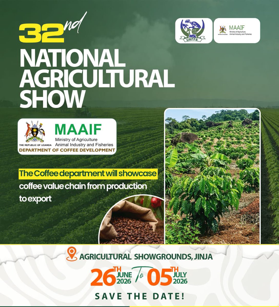 FD TV Media tweet media