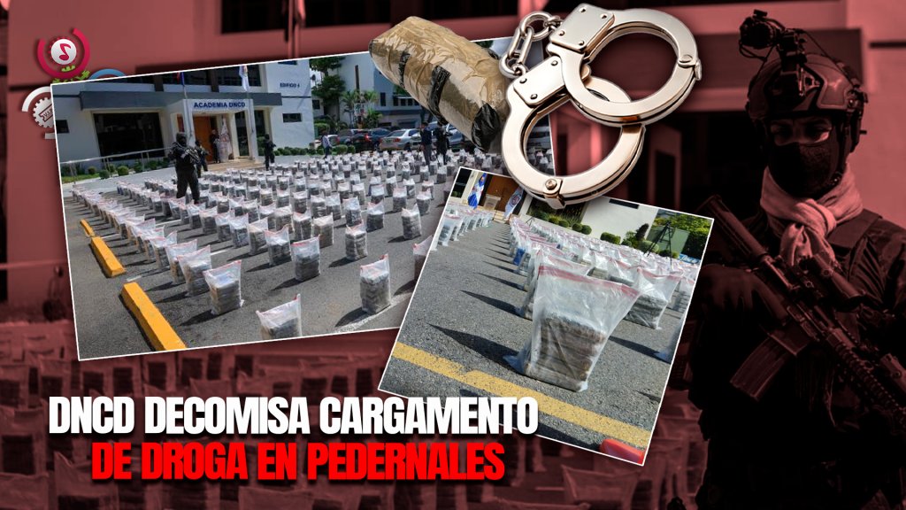 cachicha tweet media