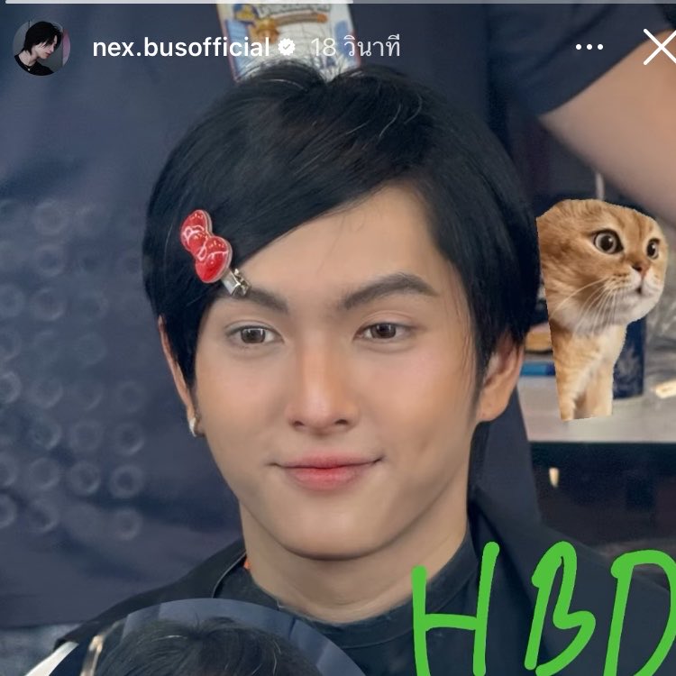 ミมะเพว🐈cms open tweet media