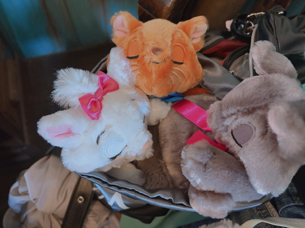 誕！今日まで生きれててよかった
昨日は海いた
この1年はあんま作ったり配信見れなかったのでもうちょい配信リアタイしたり色々やりたい〜