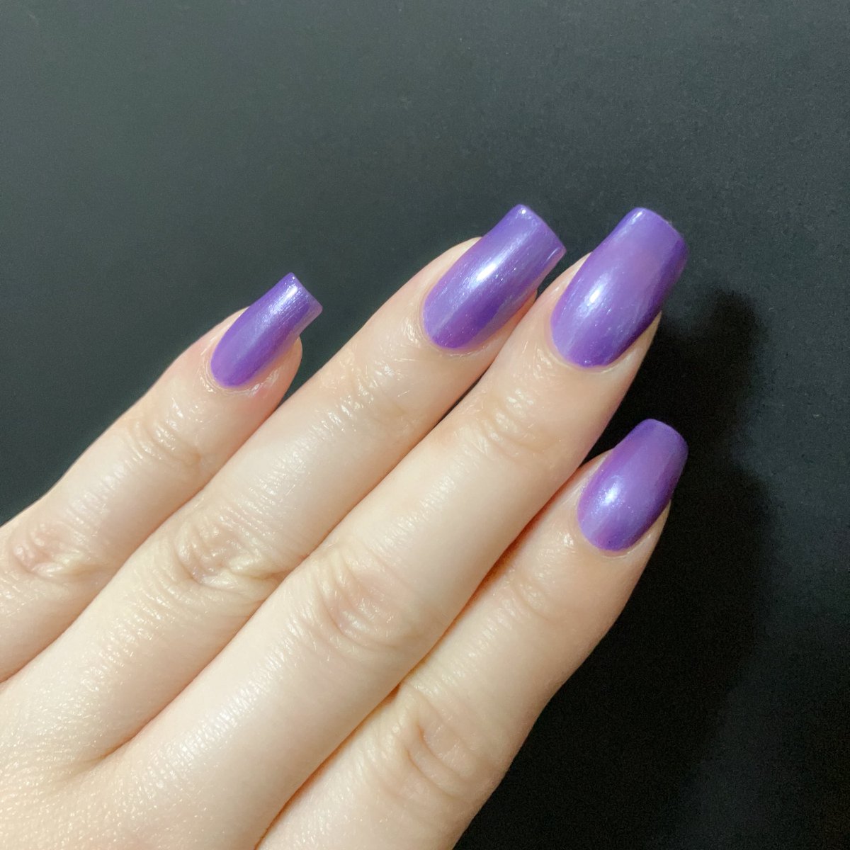 Arcobaleno tweet media