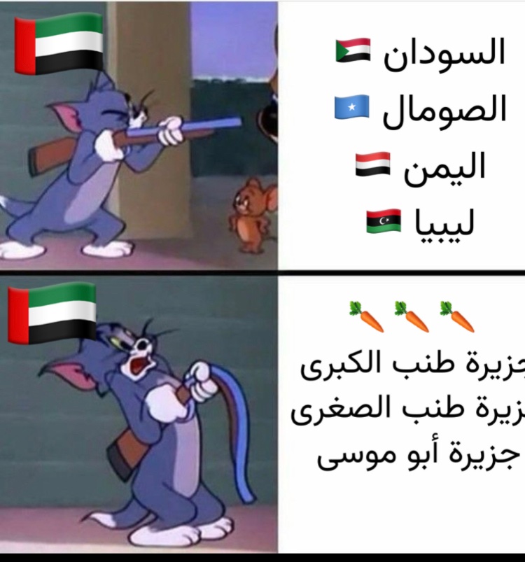 السَّنع tweet media