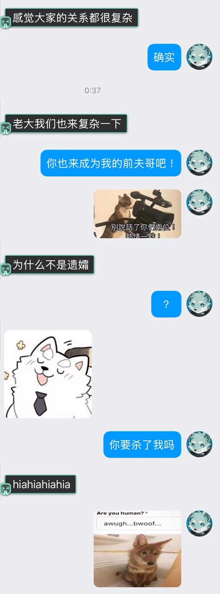 西柚气泡水♿️北京 tweet media