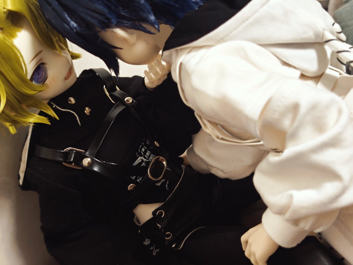 蝴蜻蚤BDF tweet media