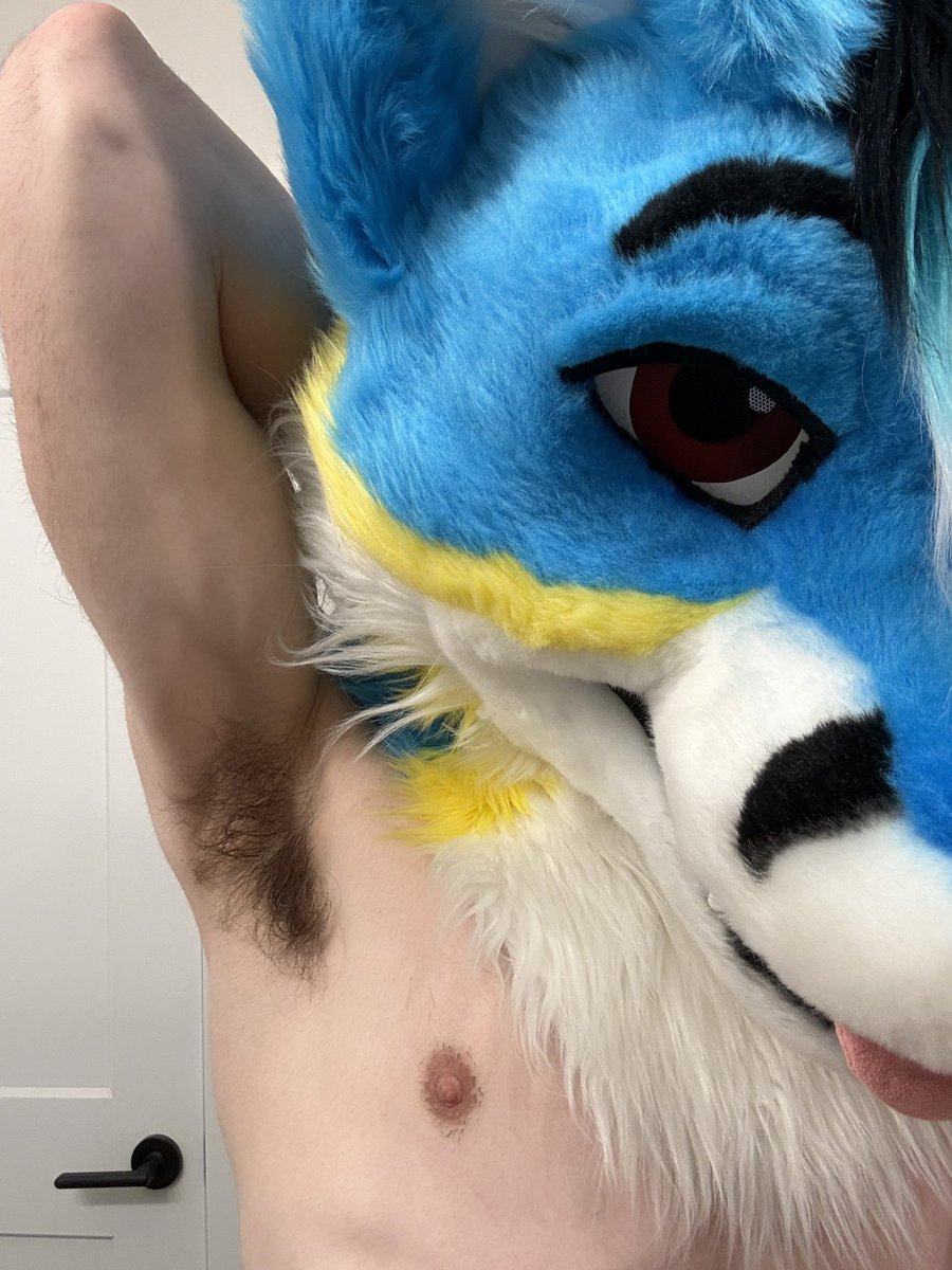 tromboner fox 🔜 FD tweet media