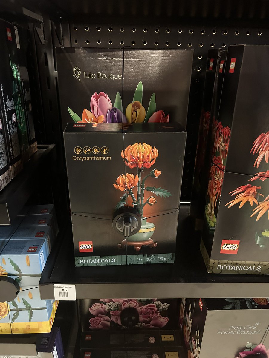 سناء🦋 tweet media