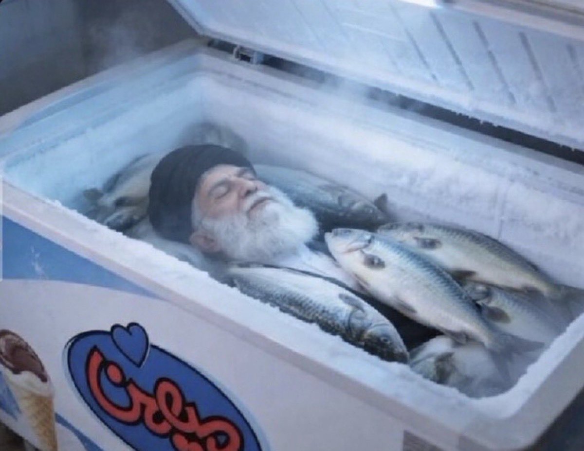 farnaz🇮🇷 tweet media