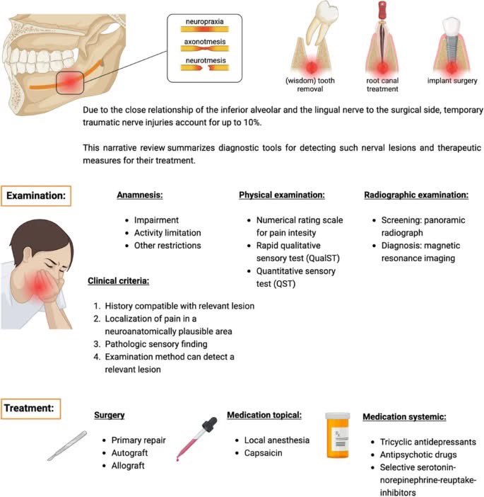 عن طب الأسنان | AboutDent tweet media