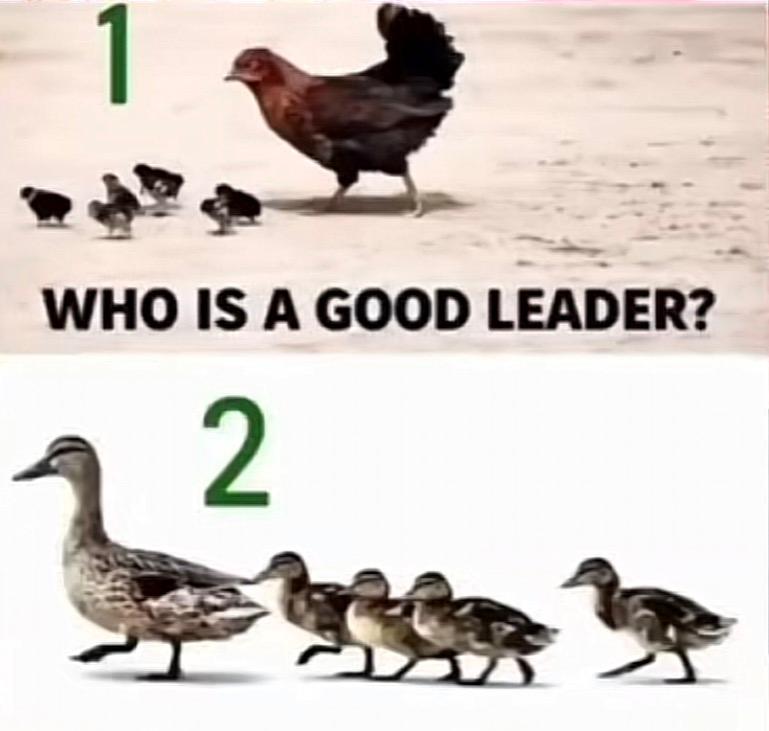 Pre Cious tweet media