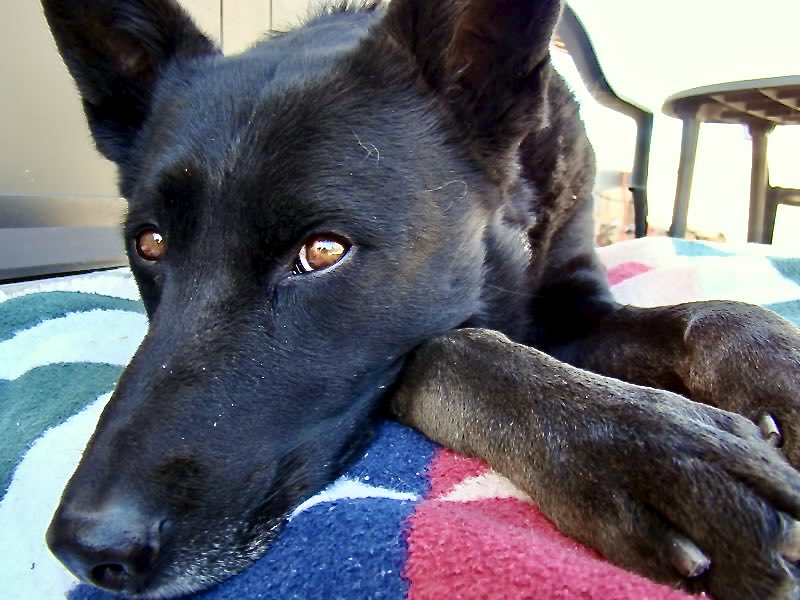 NMrocks🤘🏻 tweet media