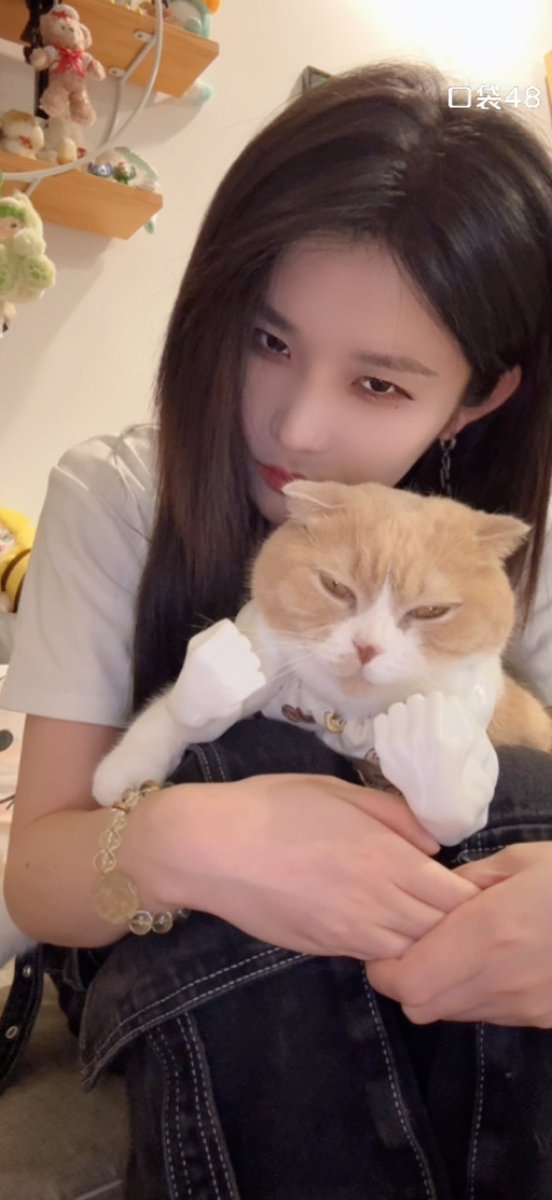 jing🦔🧚 tweet media