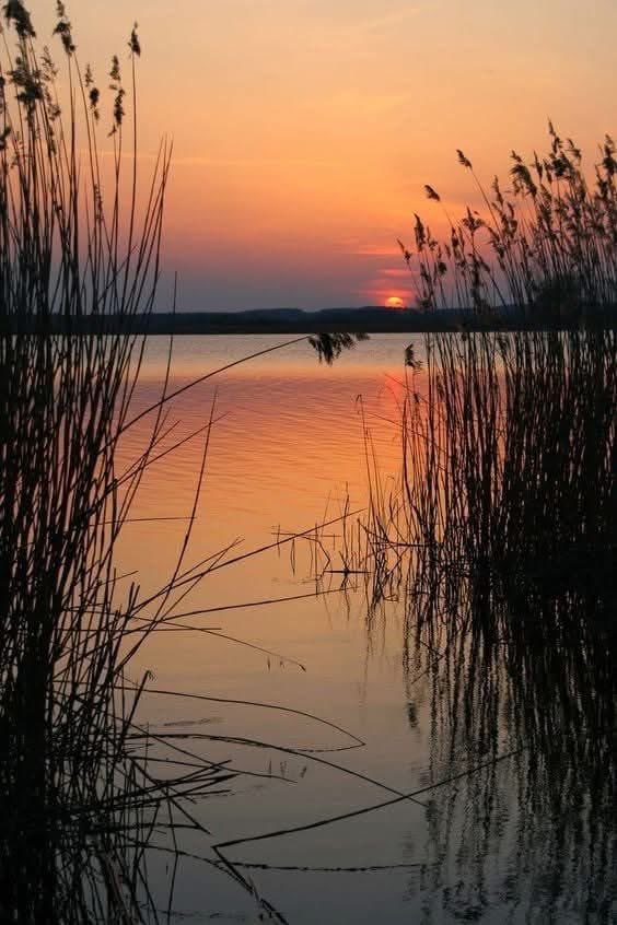 Abendlied

Und wenn sich einst die Seele schließt
Wie diese Abendblume;
Wenn Alles um sie Dämmrung ist
Von Lebens Licht und Ruhme,
Und ihre letzten Blick′ umher
Ihr kalte Schatten scheinen:
O Jüngling, wirst Du auch so schwer
Wie diese Blume weinen?

War Deiner holden Jugend Saft