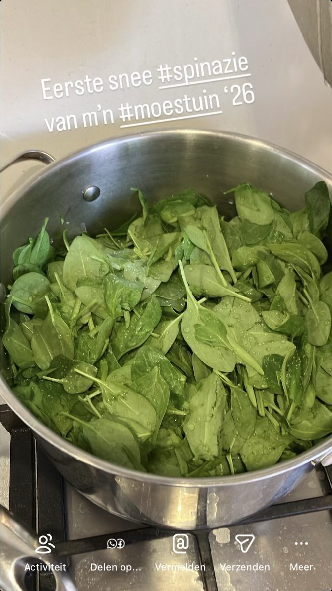 Bert Westhoff tweet media