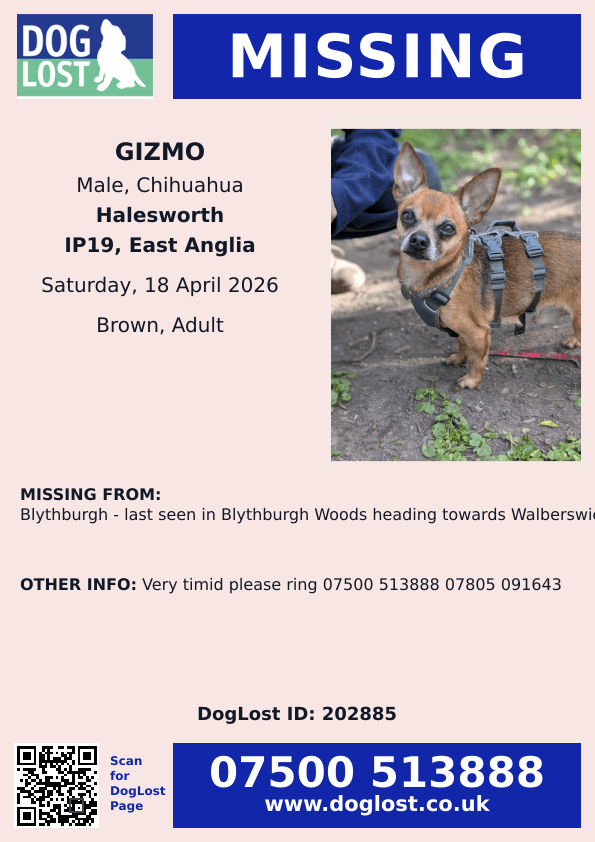 MissingPetsGB's tweet image. 🐕 GIZMO #chihuahua
#missing from #Blythburgh #Halesworth #Suffolk #IP19 earlier today 18 April 2026
Gizmo is chipped, rescue and extremely nervous.
Please don't chase if seen!! doglost.co.uk/dog/202885