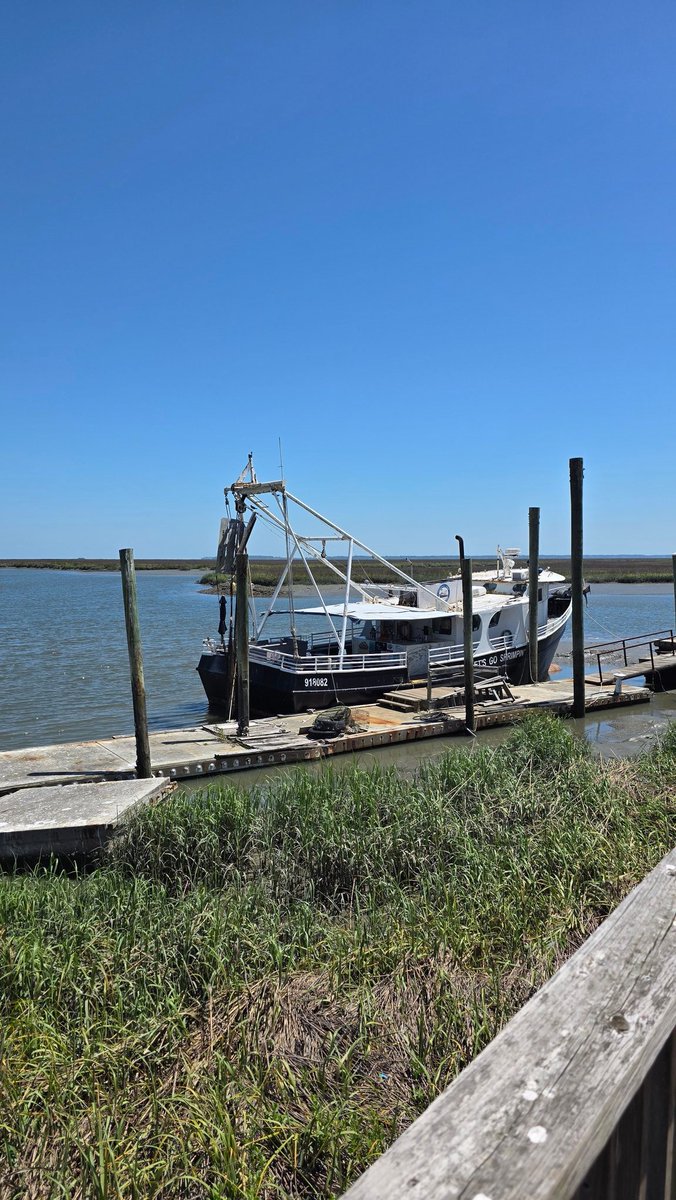 JuliasSimplySouthern tweet media