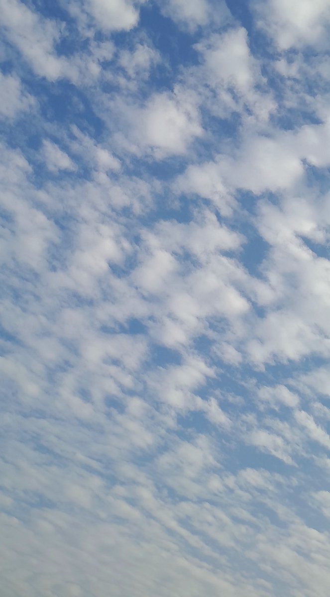 anyasi26's tweet image. Motitas de algodón.
#Cielo #Lima