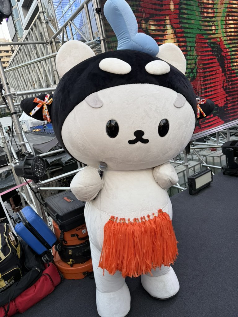 Polcasan tweet media