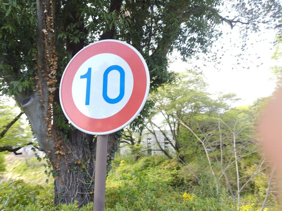 味噌バターポテト tweet media