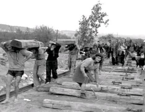 Veljko Kapunac tweet media