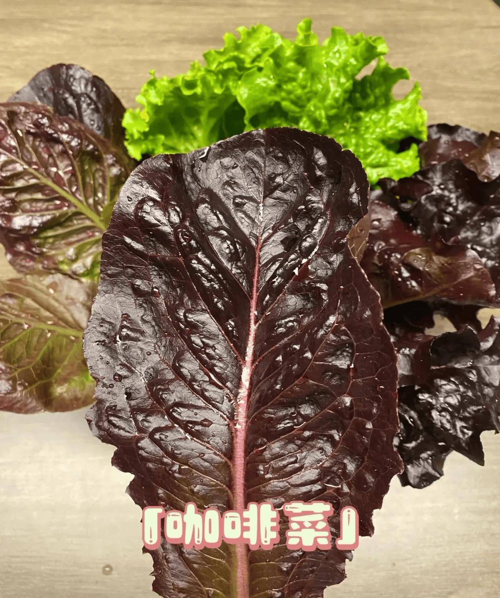 claudio    siddu tweet media